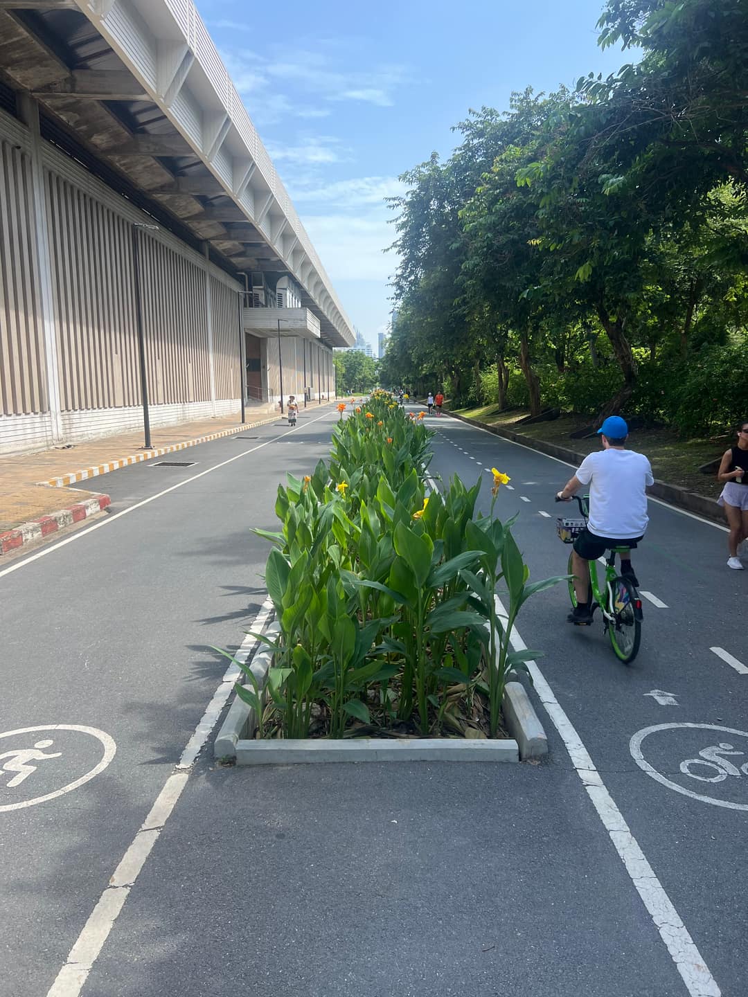 Riding a green Anywheel bike down the Benjakitti cycle lane past flower planters