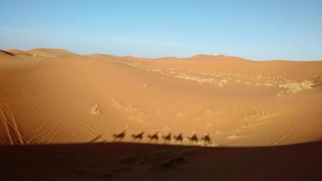 Digital Nomad Interviews: TripHappy